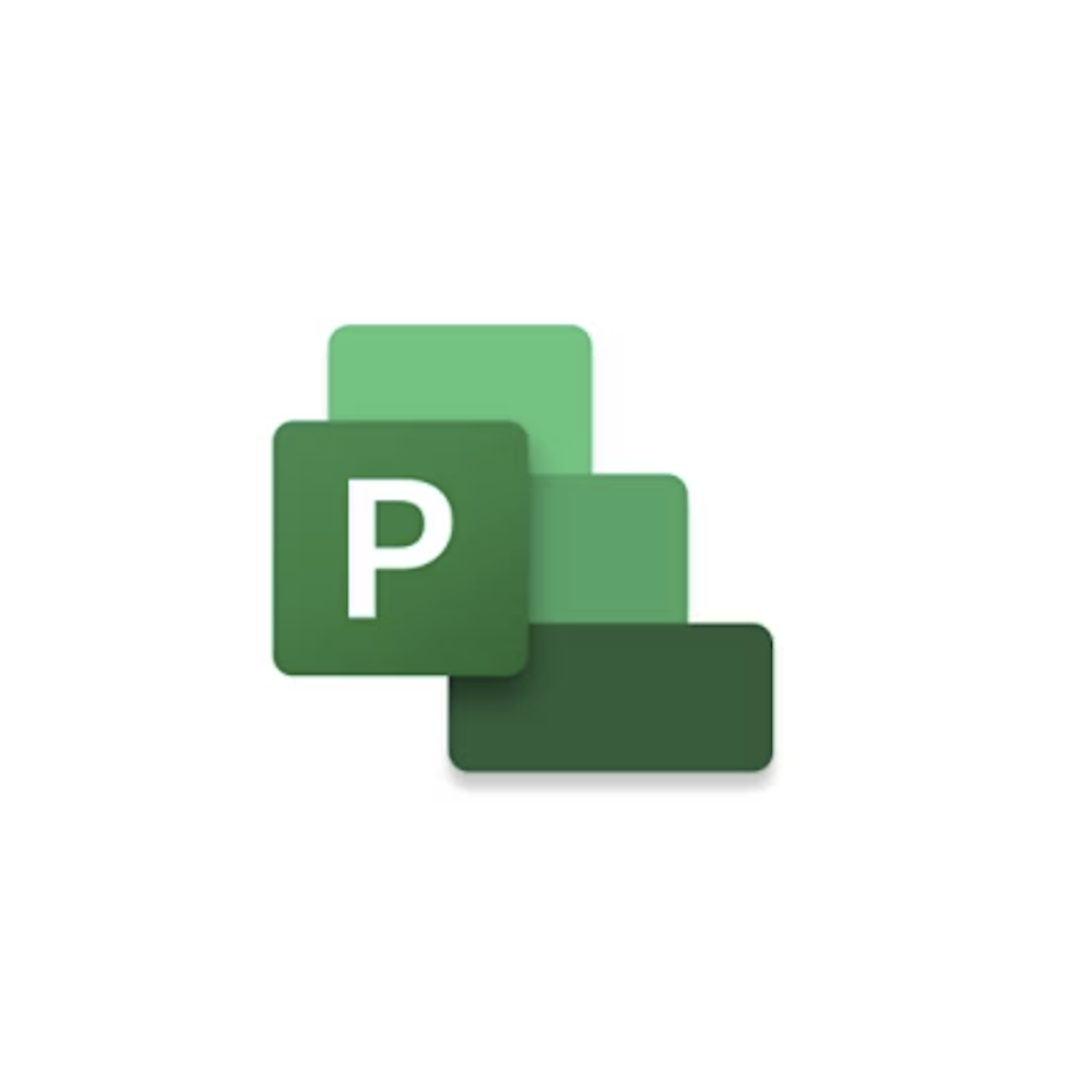 Project Professional 2024 - CSP Perpetuo